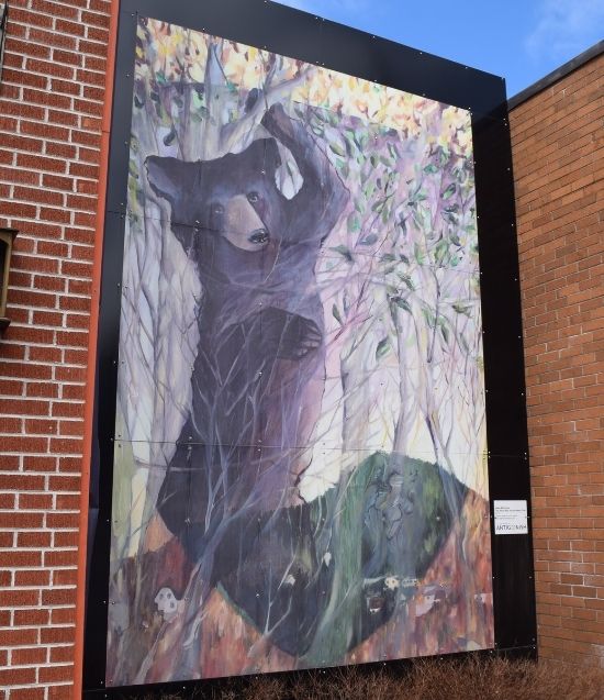 Adele MacFarlane, The Black Bear and the Beech Tree, 2015. Oil on panel. Adele MacFarlane The Black Bear and the Beech Tree, 2015. Oil on panel.